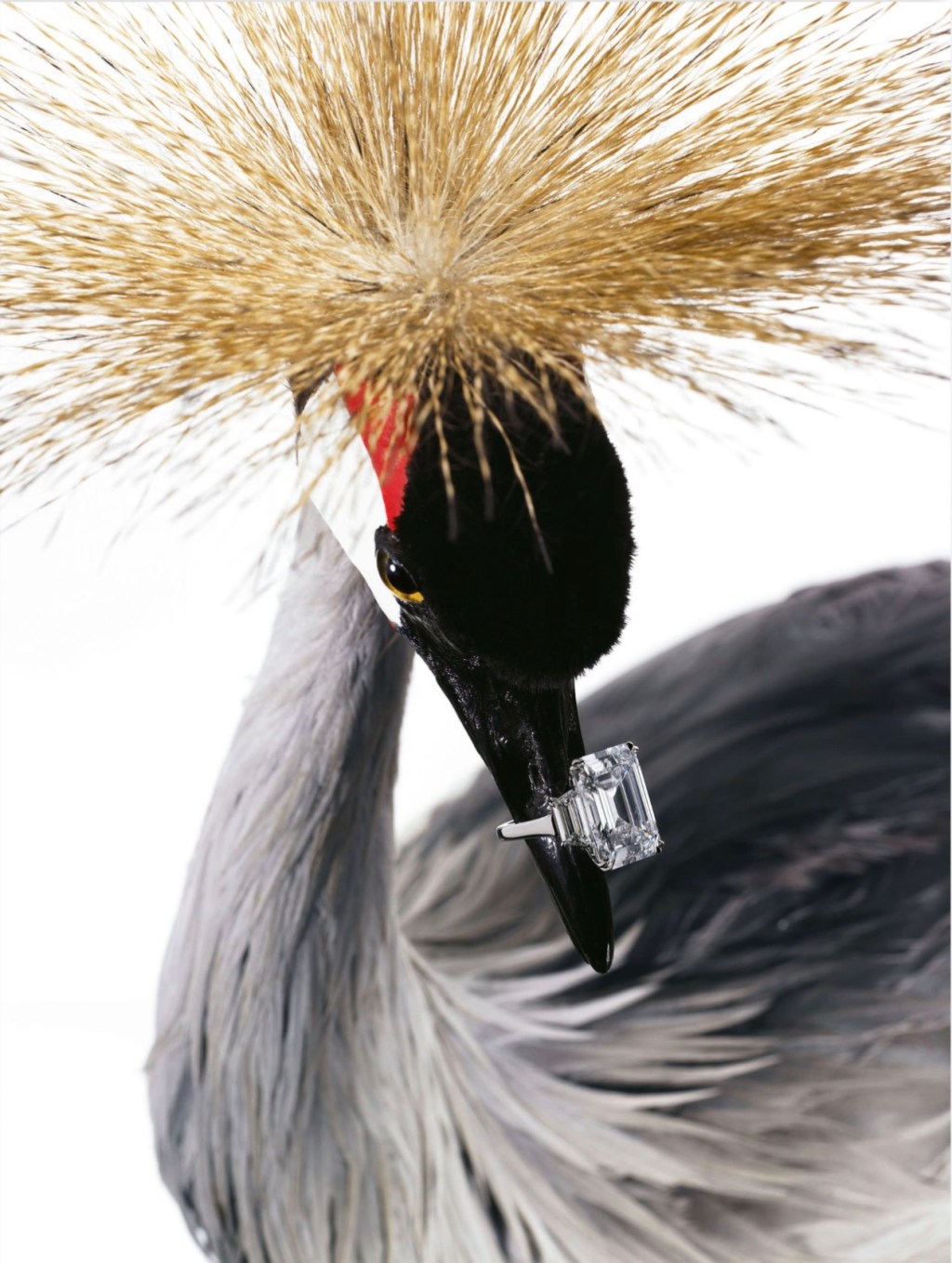 2026 Evlilik Teklifi Yüzükleri: Sadece Parlamak Yetmiyor!